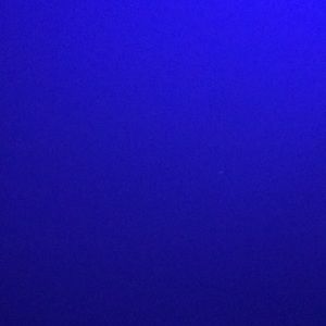 Meet your Posher, Livinia